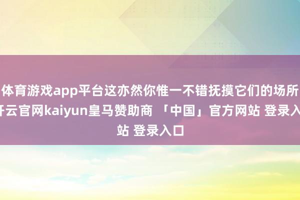 体育游戏app平台这亦然你惟一不错抚摸它们的场所-开云官网kaiyun皇马赞助商 「中国」官方网站 登录入口